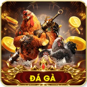 da ga 300x300 1