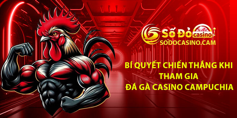 Bí quyết chiến thắng khi tham gia đá gà casino Campuchia