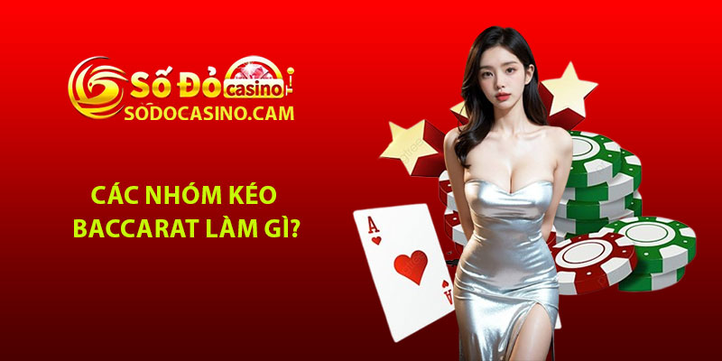 Các nhóm kéo Baccarat làm gì?