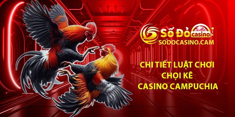 Chi tiết luật chơi chọi kê casino Campuchia