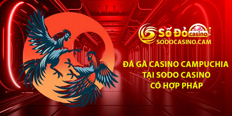 Chơi đá gà casino Campuchia tại Sodo Casino có hợp pháp không?