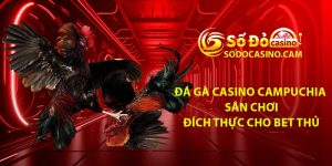 Da Ga Casino Campuchia – San Choi Dich Thuc Cho Bet Thu