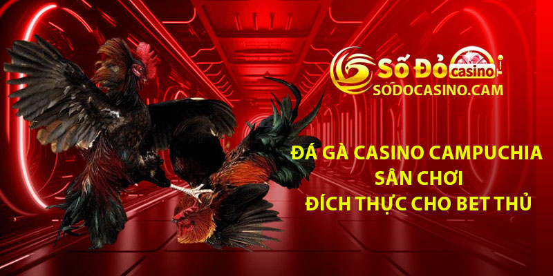 Da Ga Casino Campuchia – San Choi Dich Thuc Cho Bet Thu
