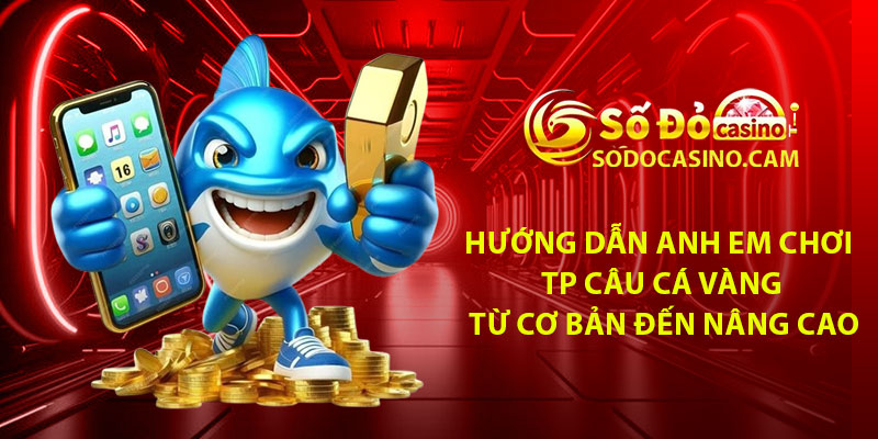 Hướng dẫn anh em chơi TP Câu Cá Vàng từ cơ bản đến nâng cao